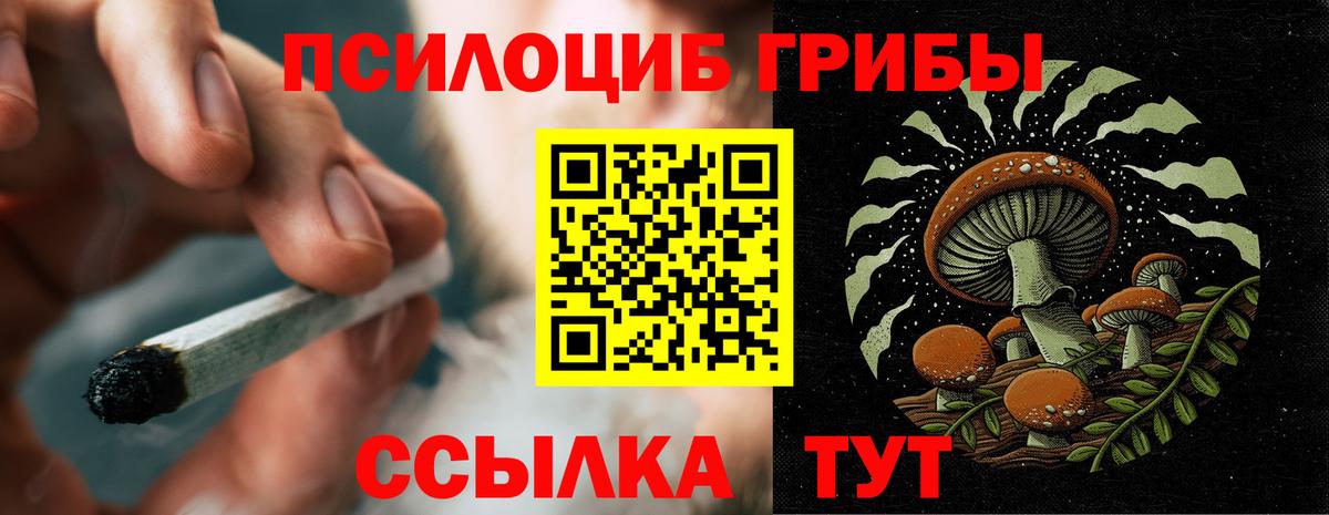 Галлюциногенные грибы Magic Shrooms Шумерля
