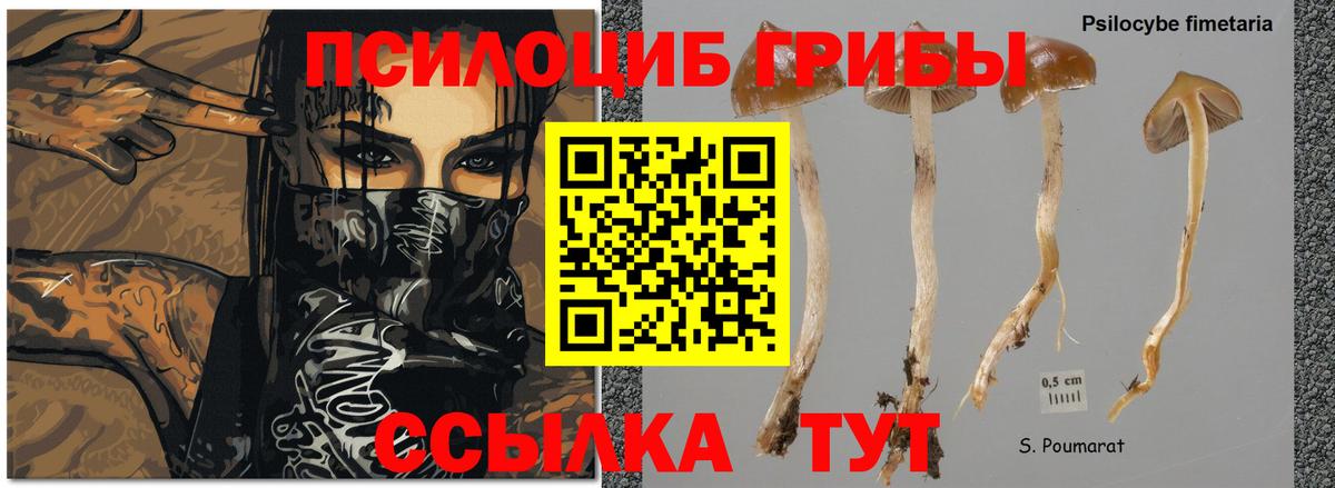 Шумерля  Галлюциногенные грибы мухоморы  Вход с VPN 